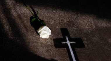 Güzel beyaz güllü kompozisyon ve kırsal arka planda haçın gölgesi. Boşluğu kopyala.