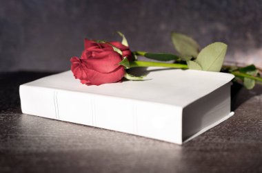 Beyaz kutsal İncil 'de kırmızı gül, cenaze konsepti, pankart. Kilise konsepti. seçili odak. Boşluğu kopyala