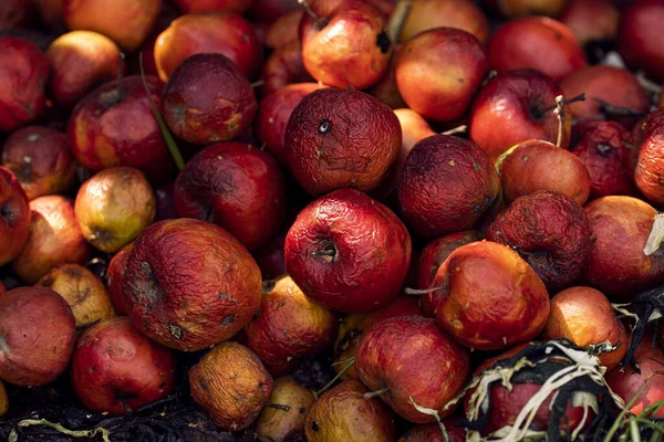 Bahçede bahar gübresi