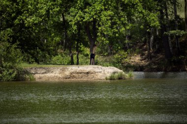 Yaz havuzda yüzüyor.