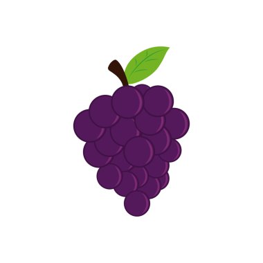 İzole meyve illüstrasyon