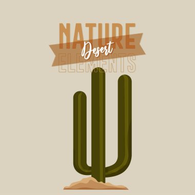 Kaktüs doğa çölü