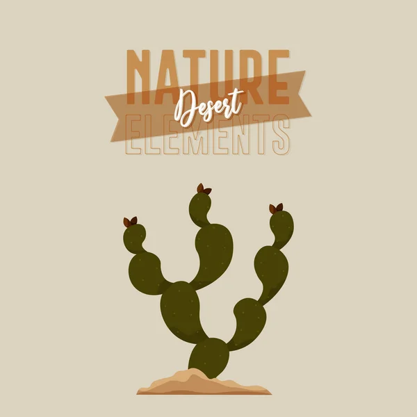 Kaktus natur öken — Stock vektor