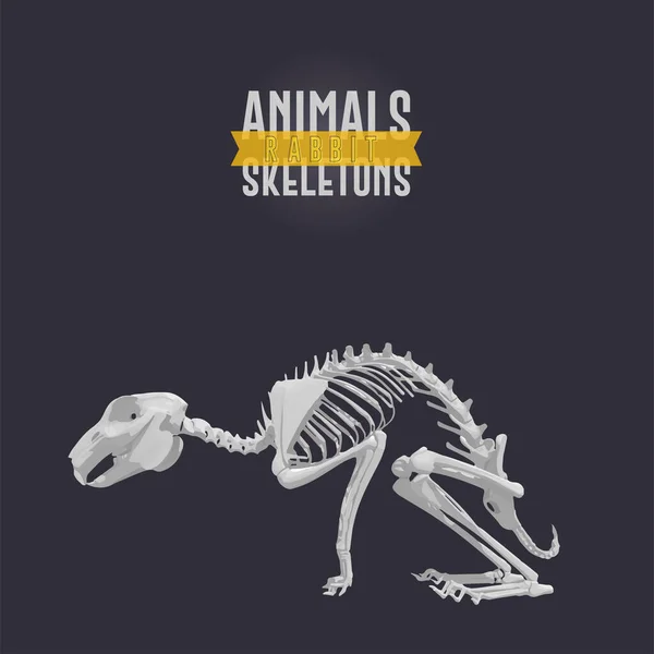 Conejo Animales Esqueletos oscuro — Vector de stock