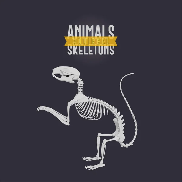 Pelea Animales Esqueletos oscuro — Vector de stock