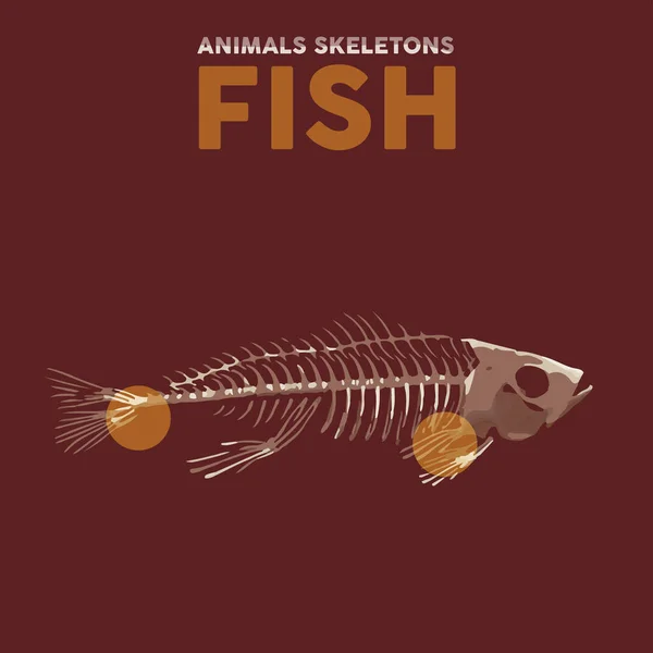 Fish Animals Skeletons — Stock Vector