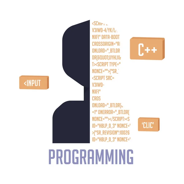 İzole kodlar programlama — Stok Vektör