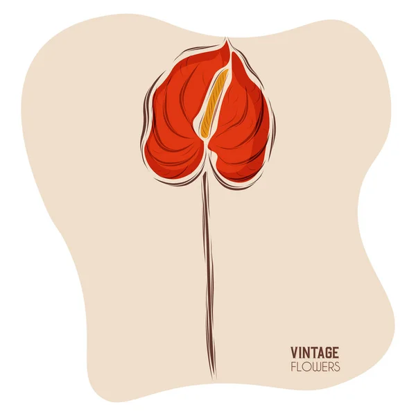 İzole edilmiş kırmızı mahsul çiçek sanatı — Stok Vektör