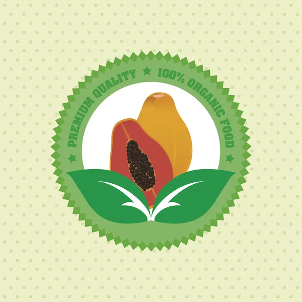 Alimentos ecológicos — Vector de stock