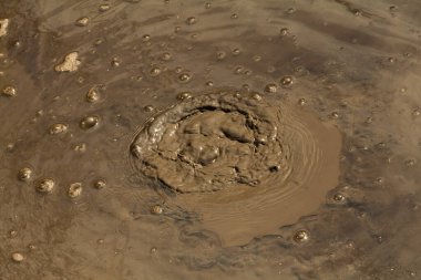 Wai-O-Tapu termal harikalar diyarında kaynamış çamur havuzu, Rotorua, Yeni Zelanda 'nın Kuzey Adası. Rotorua bölgesi jeotermal aktiviteler, gayzerler ve sıcak çamur havuzlarıyla ünlüdür..