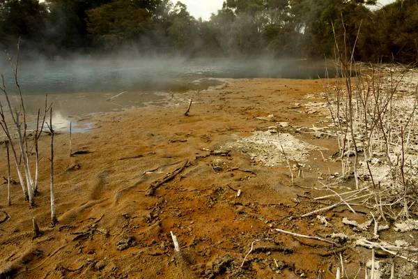 Wai Tapu熱不思議の国 ロトルア ニュージーランドの北島で沸騰泥プールと地熱湖 ロトルア地域は 地熱活動 間欠泉 熱い泥プールでよく知られています — ストック写真