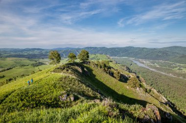 Dağdan Katun Nehri 'ne bak. Dağın tepesindeki yalnız ağaçlar. Turistler dağ yolu boyunca yürüyorlar. Altai..