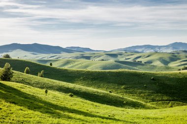 Altai dağları ve tepeleri olan yaz manzarası. Altai Dağı, Sibirya, Rusya. Gün batımından önce.