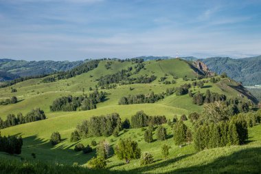 Şeytan 'ın Parmak Kayası' ndan görüntü. Altai Dağı. Dağların yamaçlarında ağaçlar.