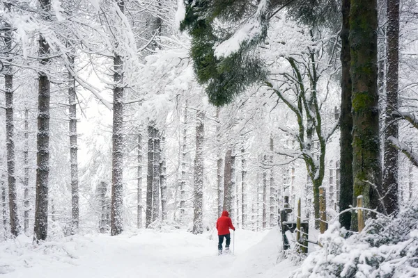 Man Met Sneeuwschoenen Een Rood Jasje Wandelend Sneeuw — Stockfoto