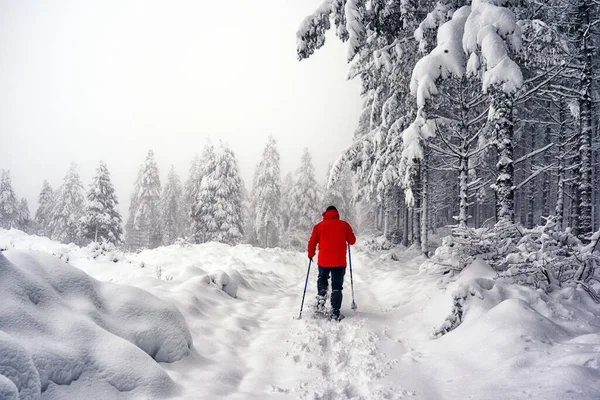 Man Met Sneeuwschoenen Een Rood Jasje Wandelend Sneeuw — Stockfoto