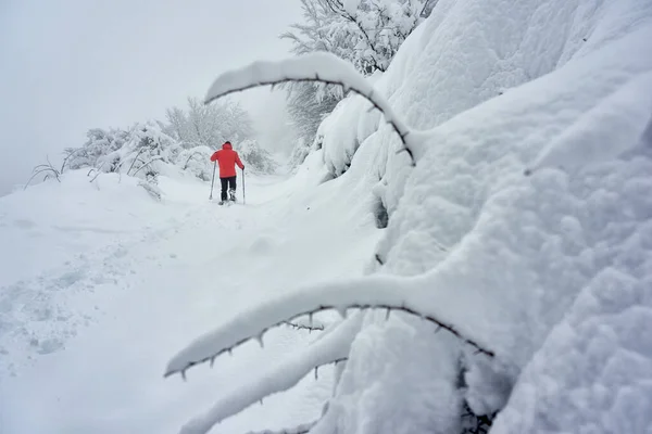 Muž Sněžnicemi Červenou Bundou Kráčející Sněhu — Stock fotografie