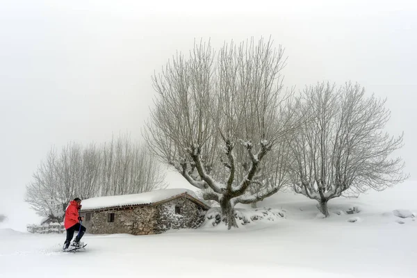 Férfi Hótalppal Piros Dzsekivel Hóban Sétálva Egy Kabin Előtt — Stock Fotó