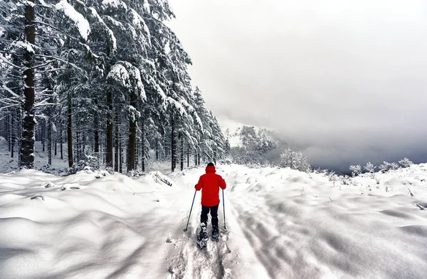 Homem Com Sapatos Neve Uma Jaqueta Vermelha Andando Neve — Fotografia de Stock