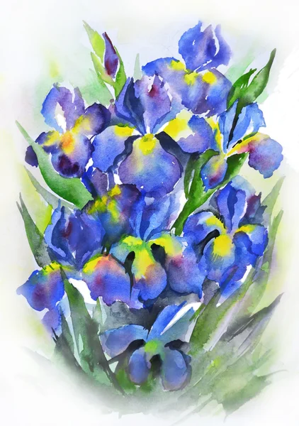 Aquarell-Stillleben mit schönen blauen Irisblüten — Stockfoto