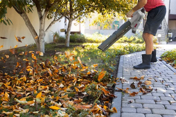 Hombre utiliza un ventilador, una aspiradora trabaja en un jardín de otoño, soplando hojas caídas de un camino de jardín Fotos de stock