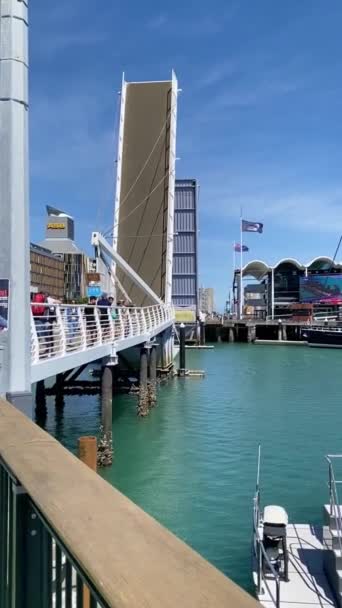 Окленд, Новая Зеландия, NOV 04, 2019: мост в Окленде поднят, чтобы позволить яхте отплыть — стоковое видео