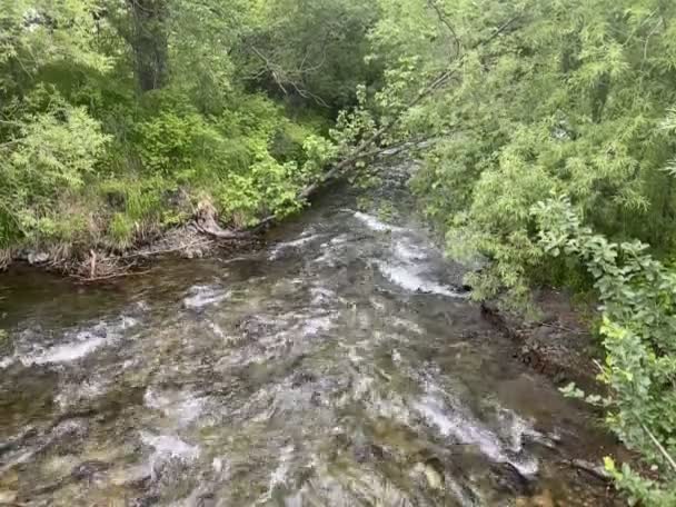 Pohoří mezi zelenými stromy, poloostrov Kamčatka, řeka Havanka. Video obsahuje zvuk — Stock video