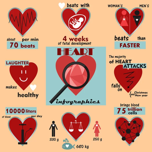 Informacje graficzne i Ciekawostki o ludzkim sercu — Wektor stockowy