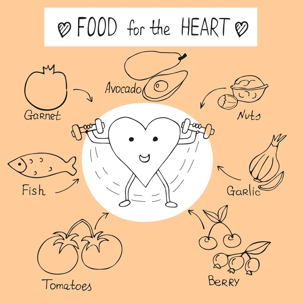 Info afbeeldingen op het onderwerp van de voeding voor een gezond hart — Stockvector