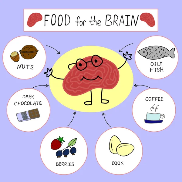 Info graphics Nutrición adecuada para el cerebro — Vector de stock