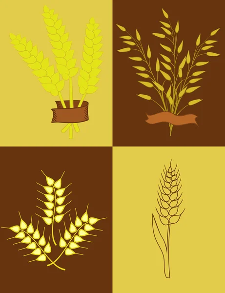 Вуха пшениці та вівса — стоковий вектор