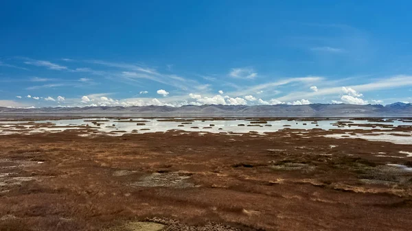 Nationaal Park Van Het Juninmeer Peru — Stockfoto