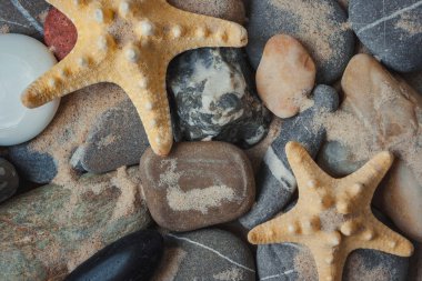 Deniz yıldızı, taş ve kum