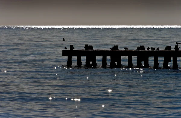 Holzsteg am Schwarzen Meer — Stockfoto