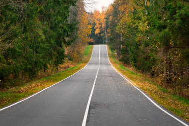 Sonbahar ormanın içinde boş yol