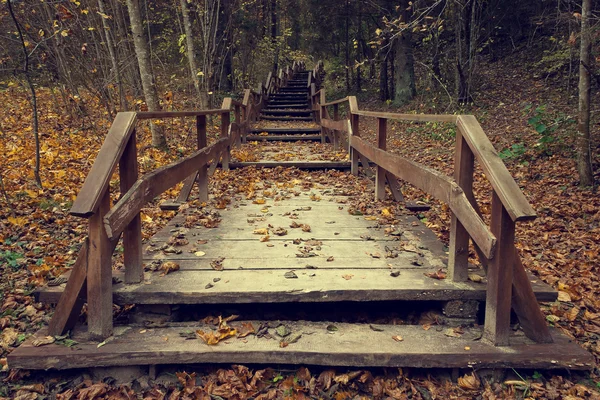 Escaleras de madera en bosque de otoño — Foto de Stock