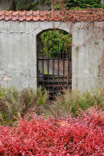 Porte noire dans un vieux mur — Photo