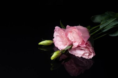 Üç pembe çiçekli bir tebrik kartı lisianthus ya da açılmamış bir tomurcuğa sahip bir östoma yansıması olan siyah bir arka planda yatar.