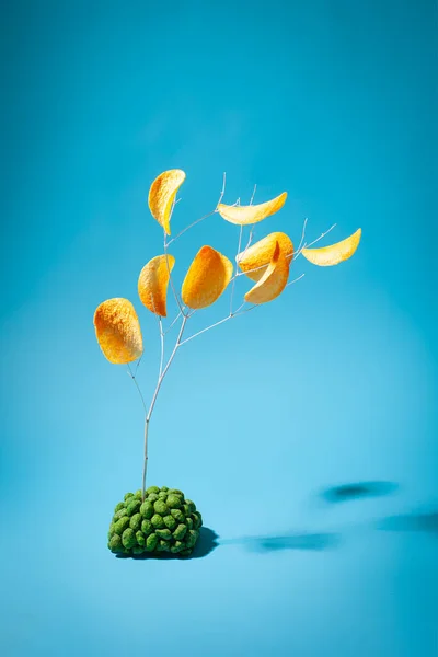 Wasabi 'deki cips ve fıstıkların yaratıcı yemek fotoğrafı, cips yaprakları kavramı, dallardan yapılmış bir ağaç ve mavi arka planda bir yığın fındık.