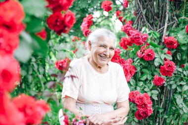 Çekici, beyaz saçlı yaşlı bir kadının portresi. Bir bankta, yabani güllerin altında oturuyor ve kar beyazı bir gülümsemeyle gülüyor.