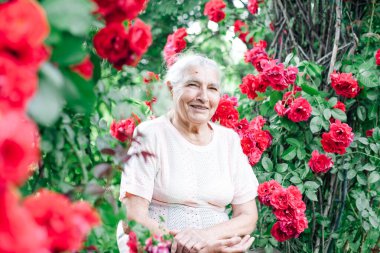 Parktaki yaban gülünün kemerinin altında oturan neşeli, gri saçlı yaşlı bir kadının portresi, emeklilikte eğlence.