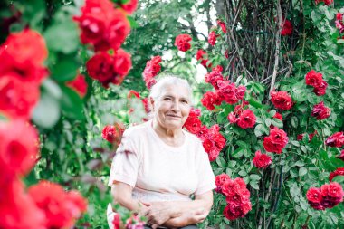 Olumlu, çekici, gri saçlı yaşlı bir kadının portresi. Köyün bahçesindeki kırmızı bir gülün kemerinin altında.