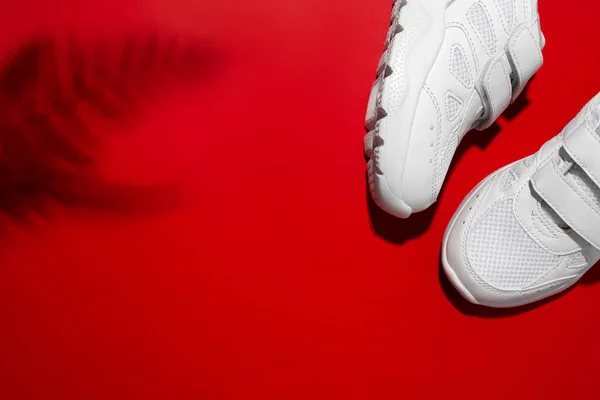 Vista superior dois tênis de verão feminino branco com fixadores de velcro com sombras de folhas de samambaia isolados em um fundo vermelho — Fotografia de Stock