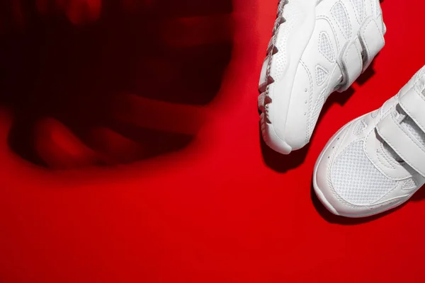 Bovenaanzicht twee witte unisex sneakers met harde schaduwen van het monstera blad geïsoleerd op een rode levendige achtergrond — Stockfoto