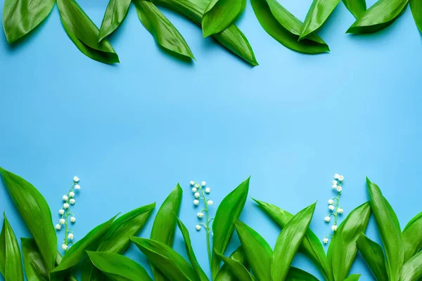 Feuilles vertes et petits bouquets de lys de la vallée comme une bordure florale avec espace de copie. Pose plate avec fond bleu — Photo