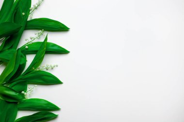 Vadinin yeşil yaprakları olan küçük buketler solda çiçekli bir sınır olarak fotokopi alanı var. Beyaz arkaplan ile düz uzandı