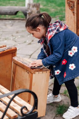 child girl helps parents polish an old wooden chest of drawers for repair and reuse against the background of a green garden, family hobby clipart