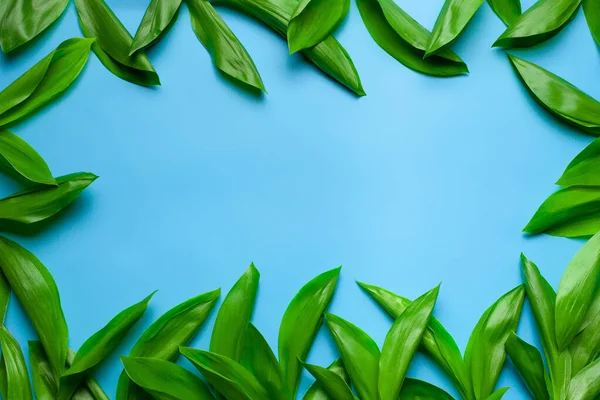 Feuilles vertes de lys de la vallée comme cadre floral avec espace de copie. Pose plate avec fond bleu — Photo