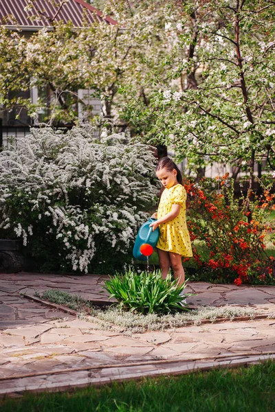 Virágzó fák és bokrok a tavaszi kertben, egy lány öntözni növények a kertben öntöződoboz egy napsütéses tavaszi napon — Stock Fotó