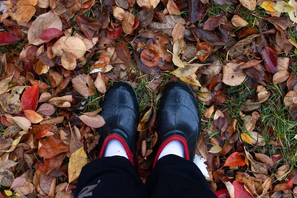 Vista dall'alto dei piedi in scarpe di gomma sullo sfondo di appassito, caduto fogliame autunno marrone — Foto Stock